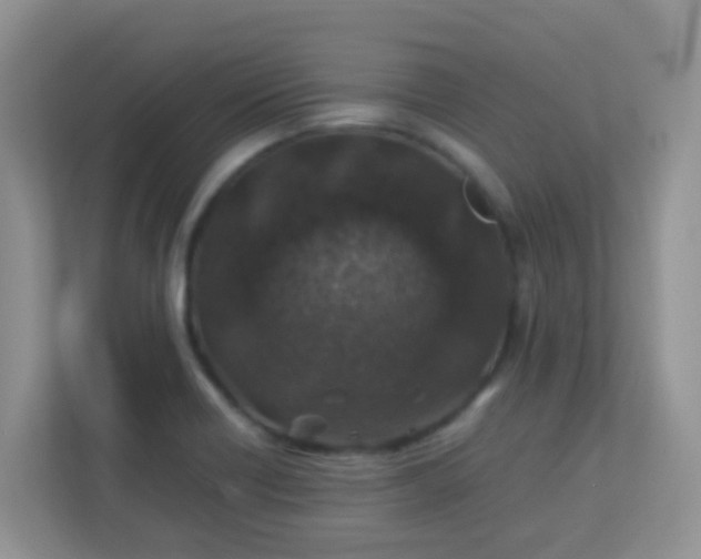 X0000113331418200909281218