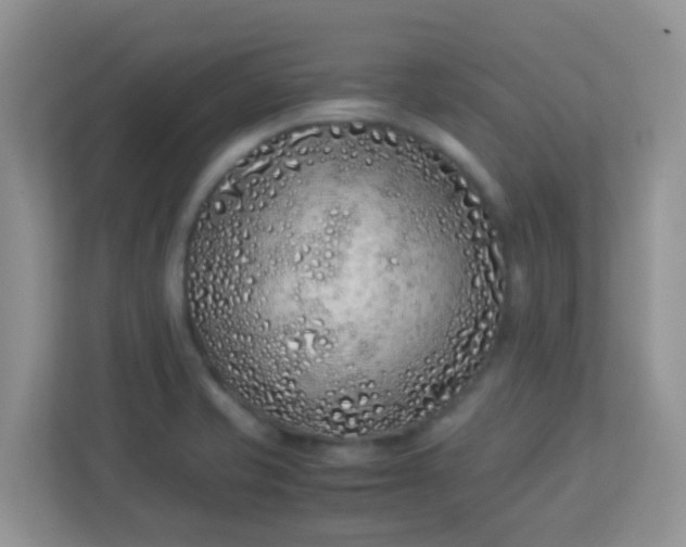 X0000113331421200909281218