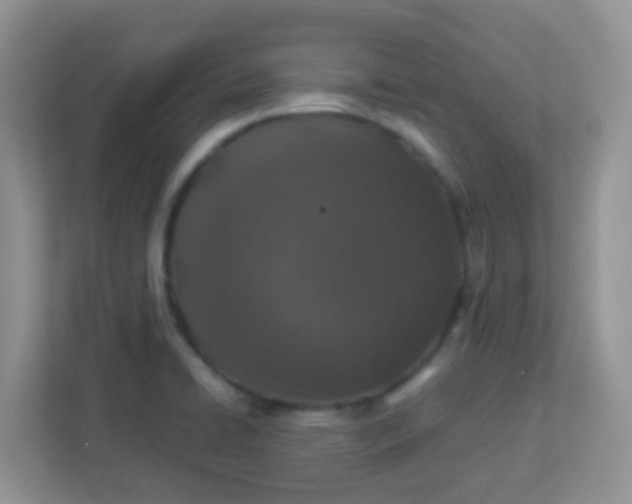 X0000113331422200909281218