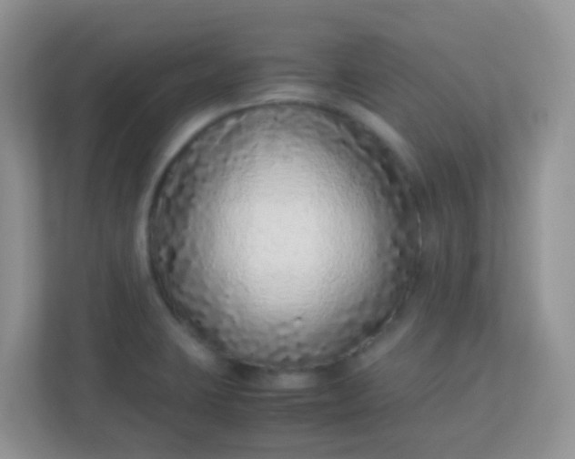 X0000113331423200909281218