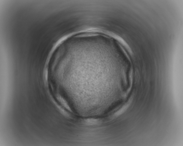 X0000113331424200909281218