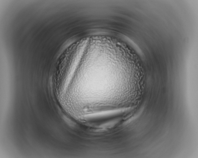 X0000113331425200909281218