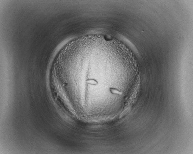 X0000113331427200909281218