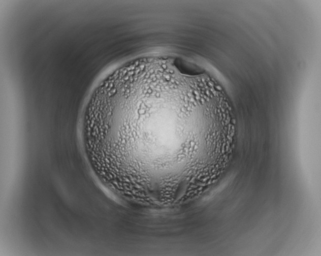 X0000113331429200909281218
