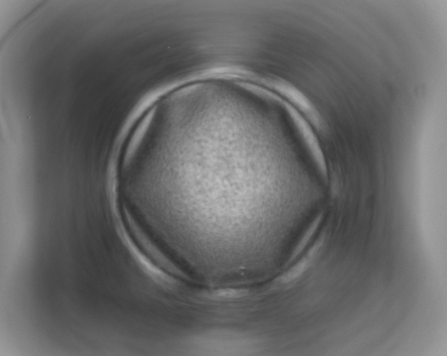 X0000113331430200909281218