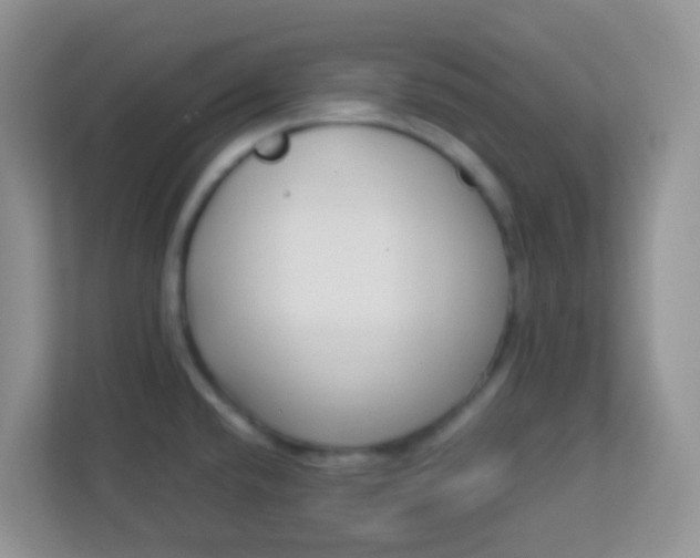 X0000113331432200909281218
