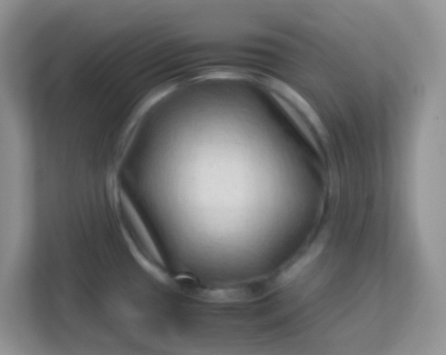 X0000113331433200909281219