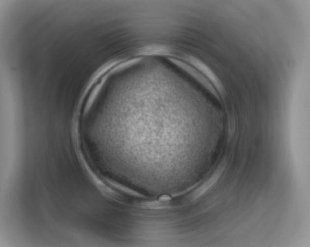 X0000113331434200909281219