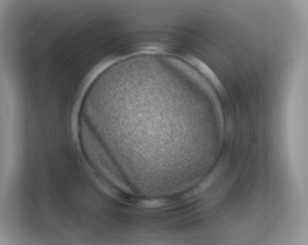X0000113331435200909281219