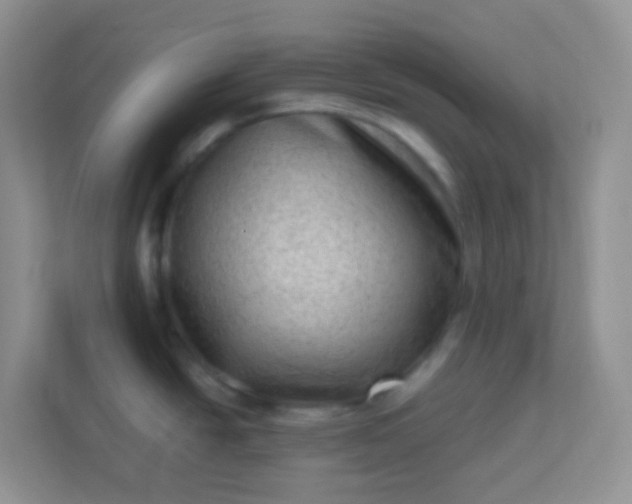 X0000113331438200909281219