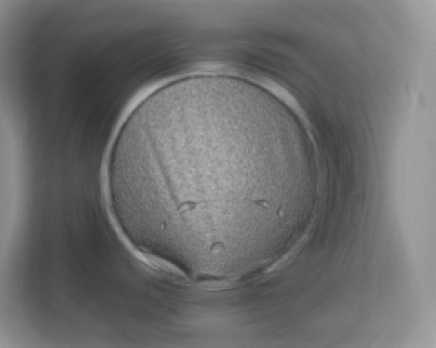 X0000113331440200909281219