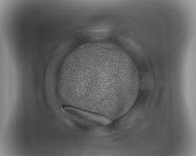 X0000113331441200909281218