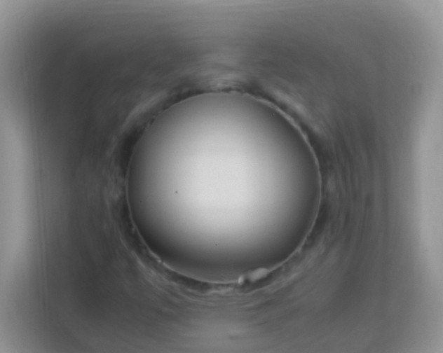 X0000113331447200909281218