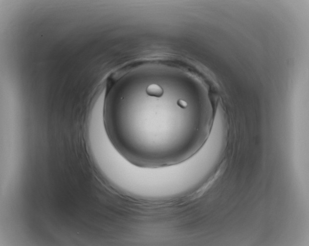 X0000113331449200909281218