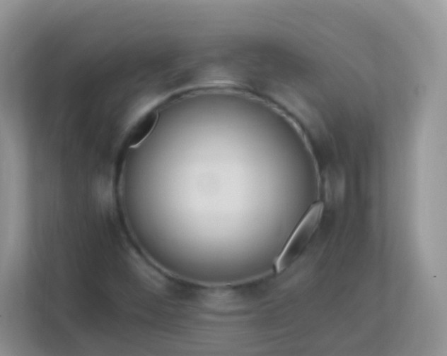 X0000113331452200909281218