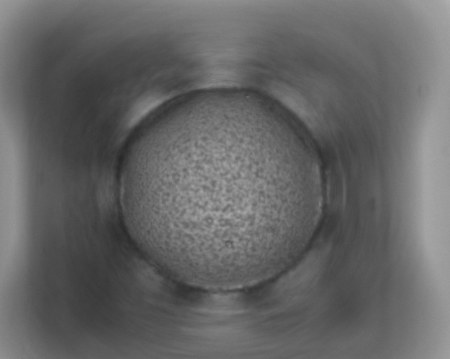 X0000113331453200909281218