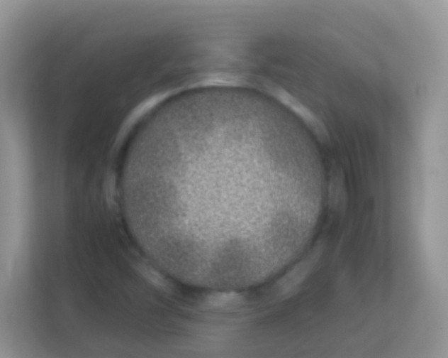 X0000113331454200909281218