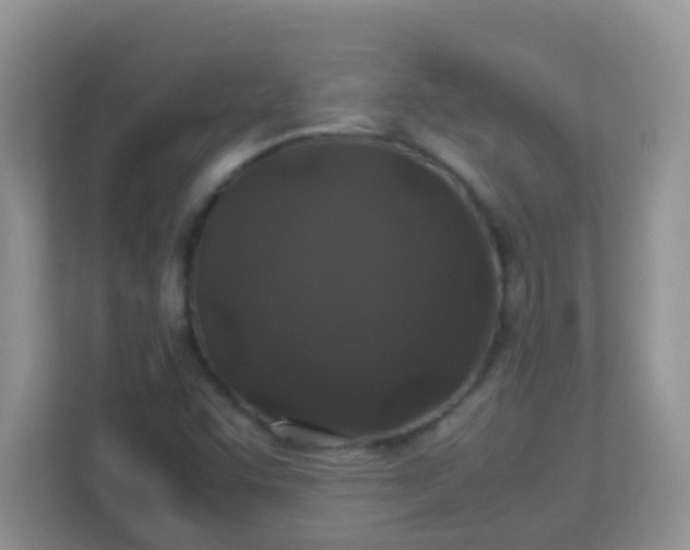 X0000113331455200909281218