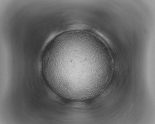 X0000113331459200909281218