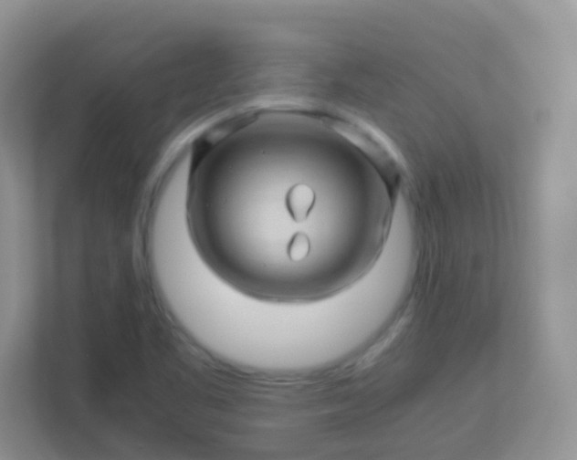 X0000113331461200909281218