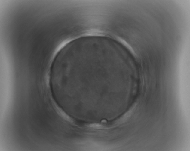 X0000113331463200909281218