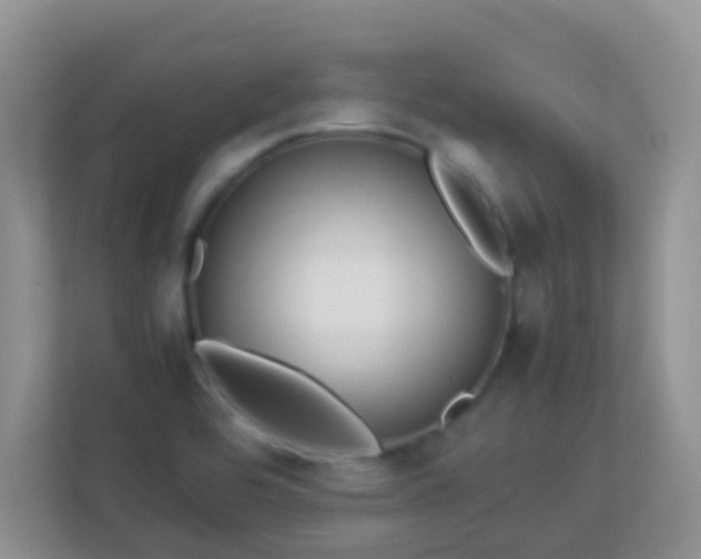 X0000113331464200909281218