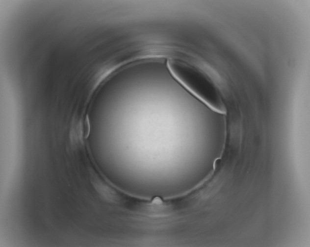 X0000113331465200909281218