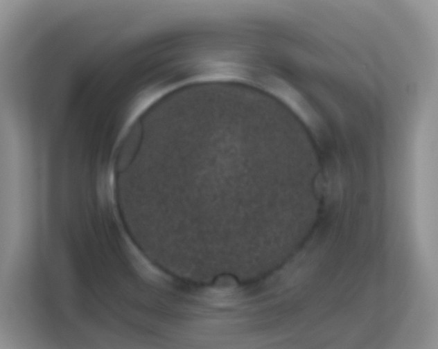 X0000113331468200909281218