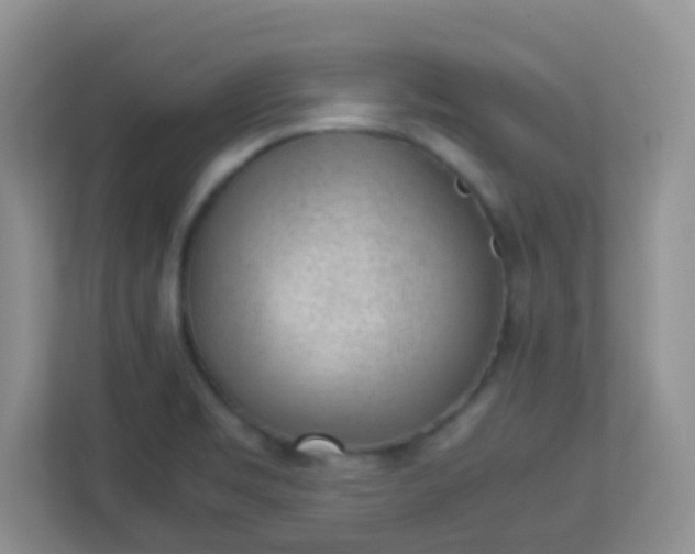 X0000113331469200909281218