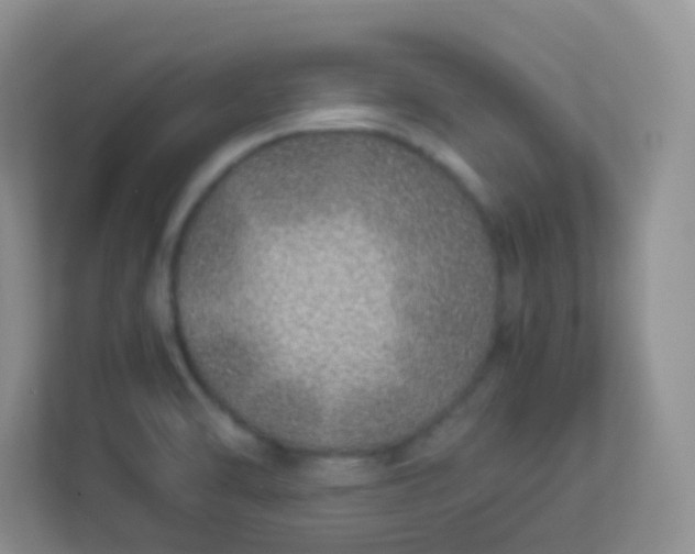 X0000113331470200909281218