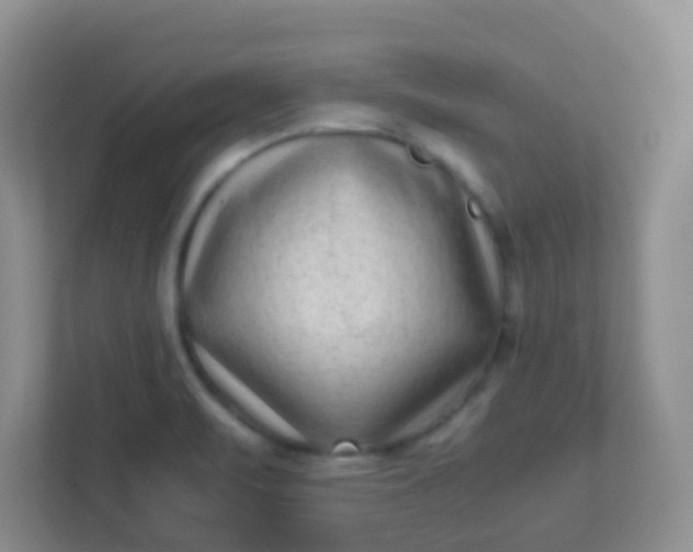 X0000113331471200909281218
