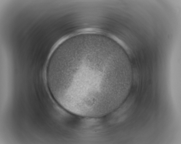 X0000113331474200909281218