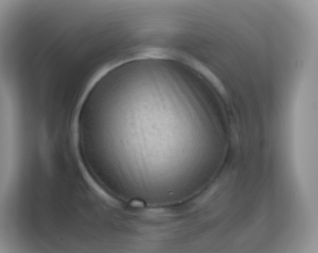 X0000113331479200909281217