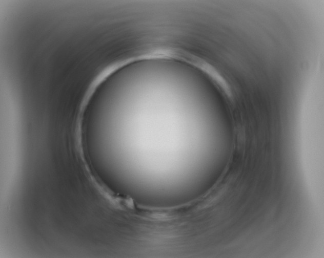 X0000113331480200909281217