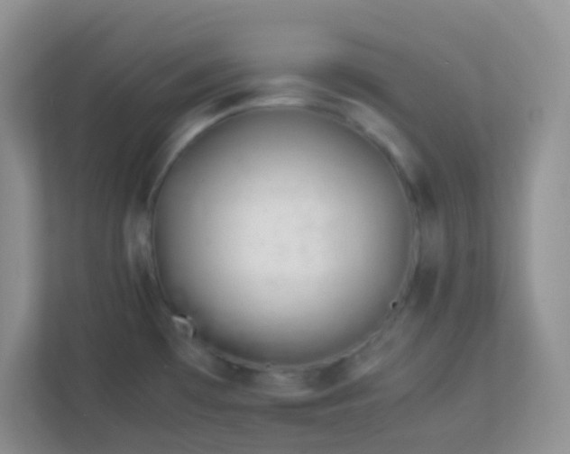 X0000113331481200909281217