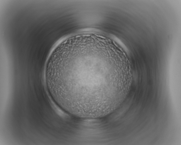 X0000113331482200909281217
