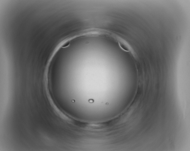 X0000113331483200909281217