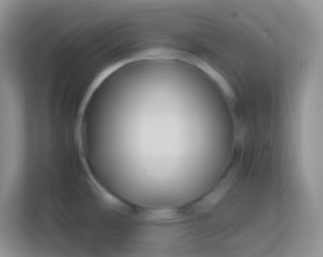 X0000113331486200909281217