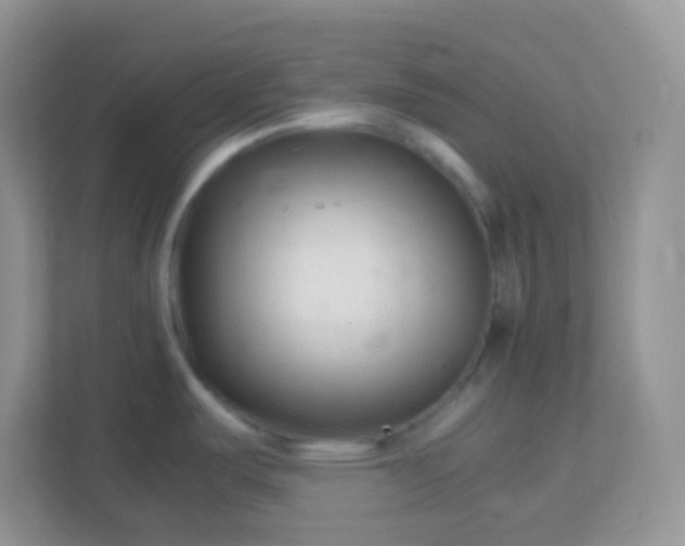X0000113331487200909281217