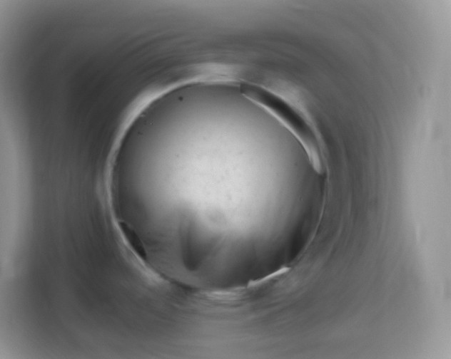 X0000113331488200909281217
