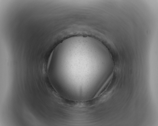 X0000113331490200909281217