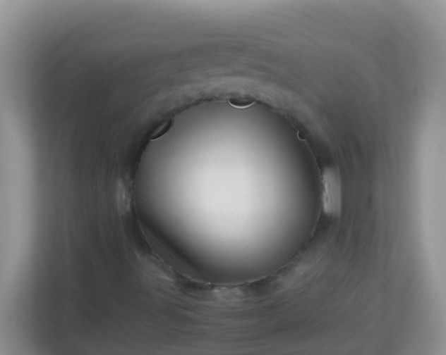 X0000113331491200909281217