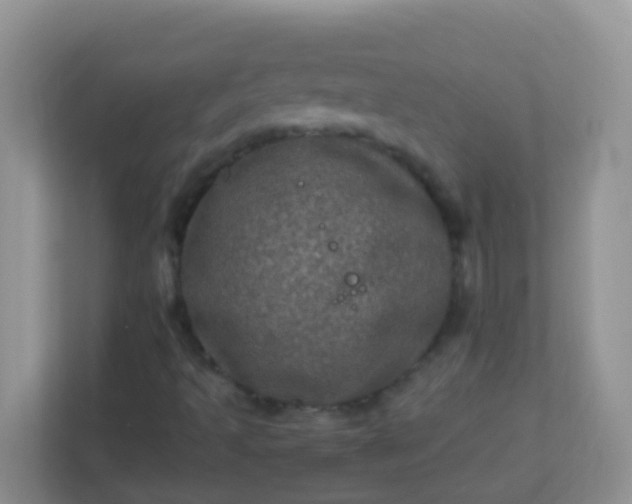 X0000113331493200909281217