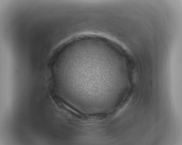 X0000113331494200909281217