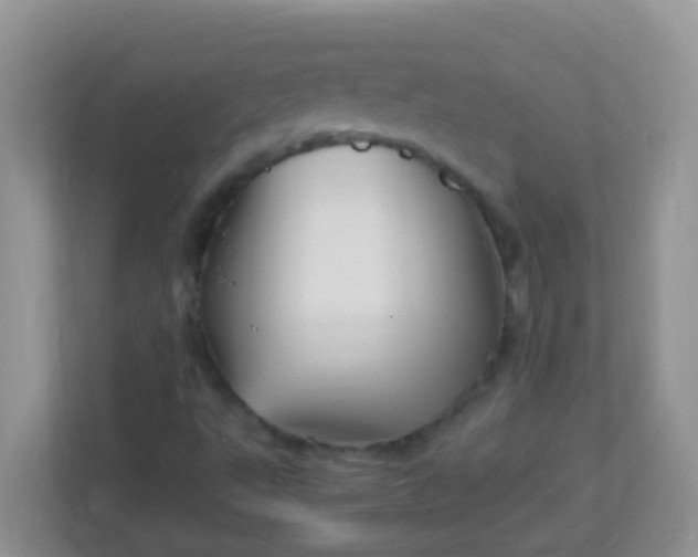 X0000113331495200909281217