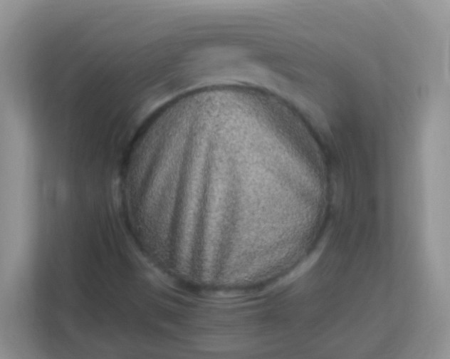 X0000113331497200909281217