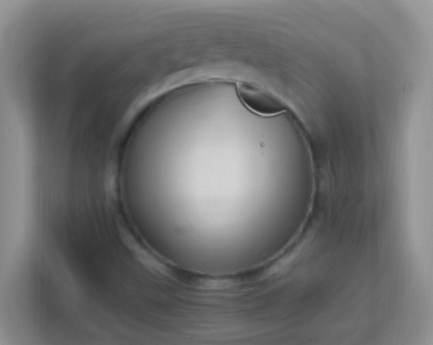X0000113331499200909281217