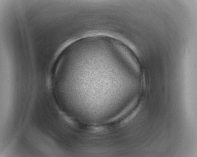 X0000113331501200909281217