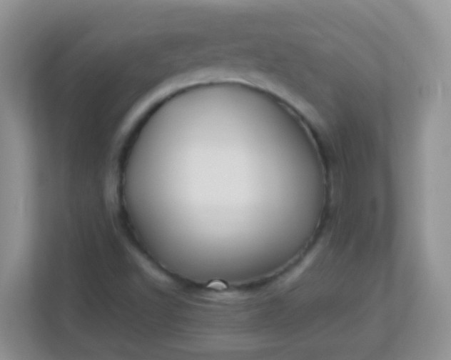 X0000113331502200909281217