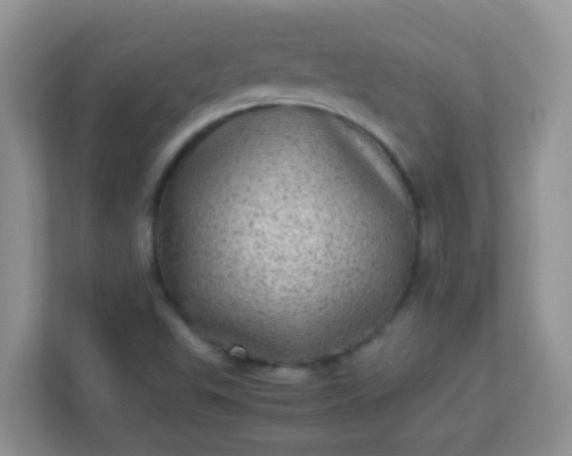 X0000113331503200909281217